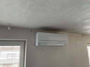 IMG_0501